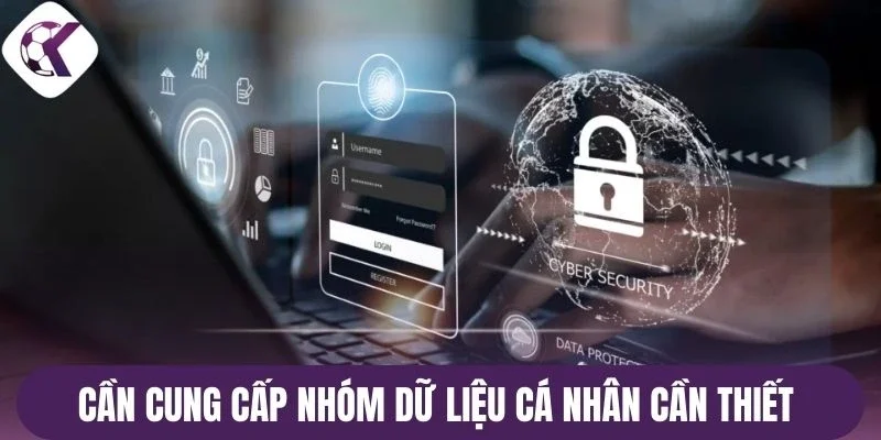 Cần cung cấp nhóm dữ liệu cá nhân cần thiết 