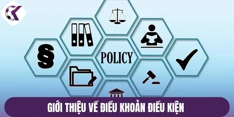 Giới thiệu về điều khoản điều kiện 