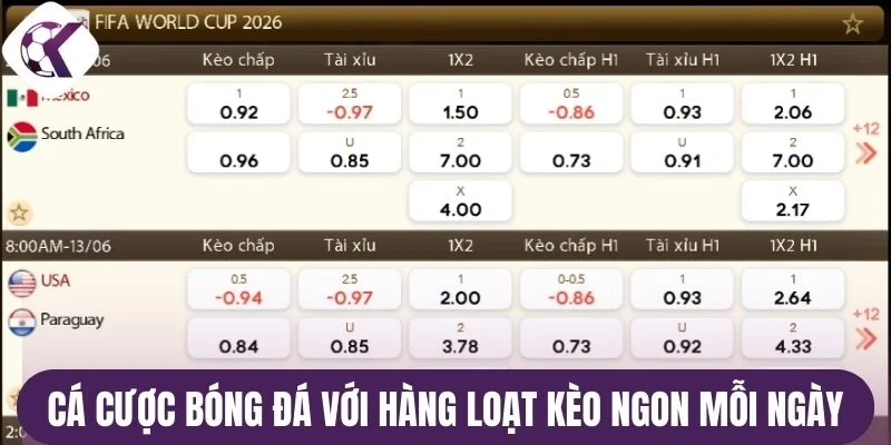 Cá cược bóng đá với hàng loạt kèo ngon mỗi ngày