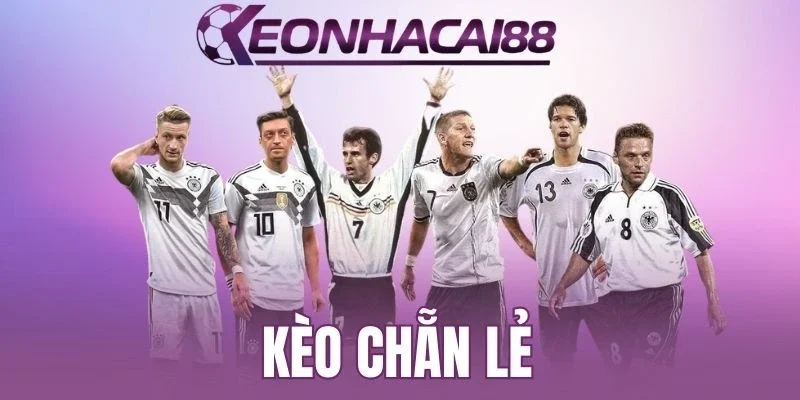 Giới thiệu top hình cược E/O thịnh hành