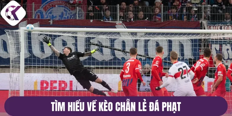Tìm hiểu về kèo chẵn lẻ đá phạt