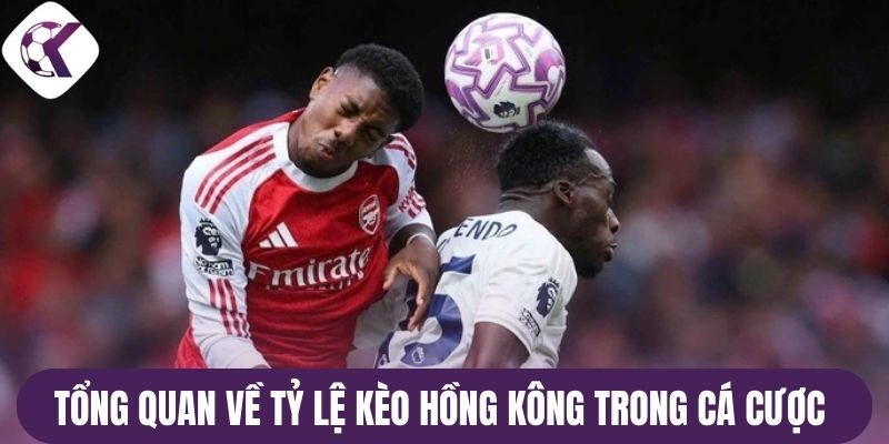 Tổng quan về tỷ lệ kèo Hồng Kông trong cá cược 