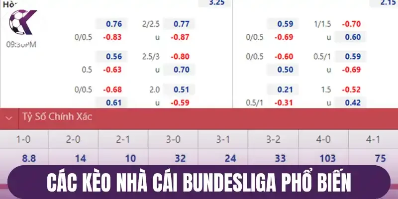 Các kèo nhà cái Bundesliga phổ biến